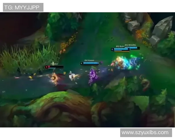 英雄联盟深度解析：揭开FPX战队灵活性背后的秘密与策略